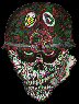 Stormtroopers of Death!